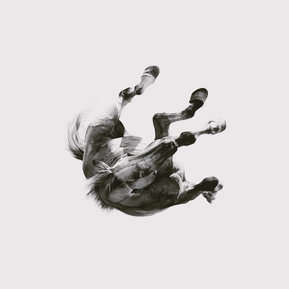 Album Art of Anberlin's Dark Is The Way, Light Is A Place album - On a very light gray background, a black-and-white, charcoal and pencil drawing of a horse falling with its back to the ground and its legs splayed out above in the air and the head looking up from where it came.