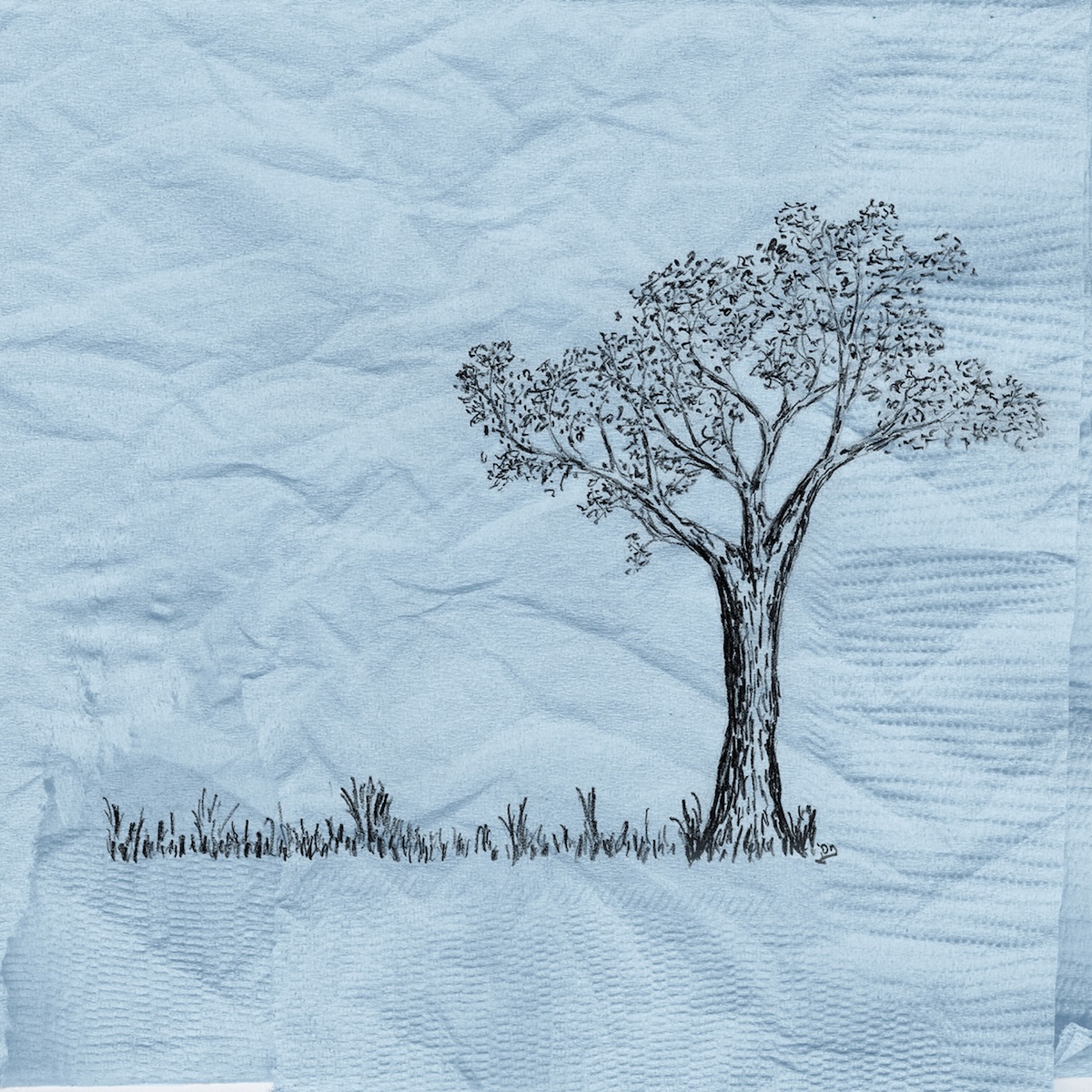 Album Art of Jon Foreman's Summer album - A photo of a blue napkin that looks like it was crumpled up and then flattened out again. On it is what looks like a simple drawing of a tree on the right side with branches full of leaves, and to the left a line of grasses of various heights.