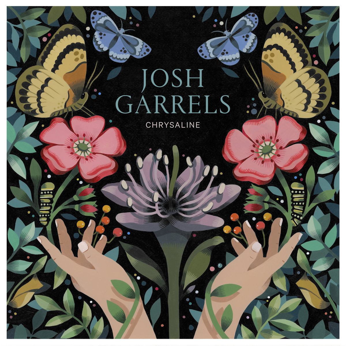 Album Art of Josh Garrels's Chrysaline album - With a thin white border around the edge, the black background has an illustration of plants, butterflies, and a pair of hands reaching up towards the flora and fauna. The image is nearly symmetrical, with a purple flower right in the center that has large pollen receptors coming out of the middle of the open flower. There are red flowers open on both sides of the purple one, with green, leafy branches along the edges of the illustration.</body></html>
